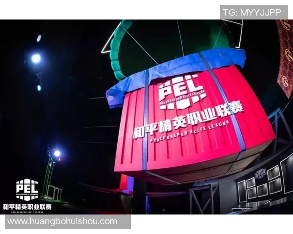 和平精英纪实：见证WE战队在电竞舞台上的辉煌与成长之路