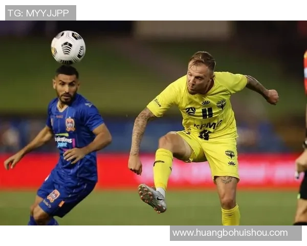 惠灵顿对纽卡斯尔精彩直播全程回顾与赛后分析