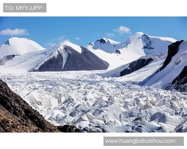 飓风来袭下的防御与正义之战如何守护人类的未来与尊严