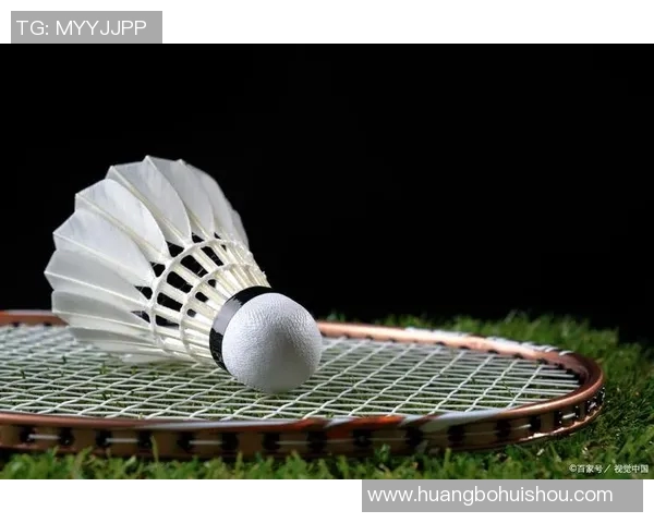 从零基础到高手之路羽毛球力量训练全方位指南与技巧分享MBA