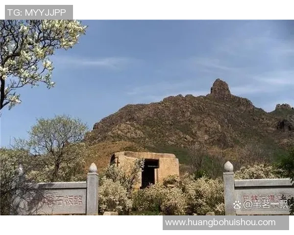 恩比与金字塔的较量探秘历史与文化的交汇点 恩比与金字塔的较量探秘历史与文化的交汇点