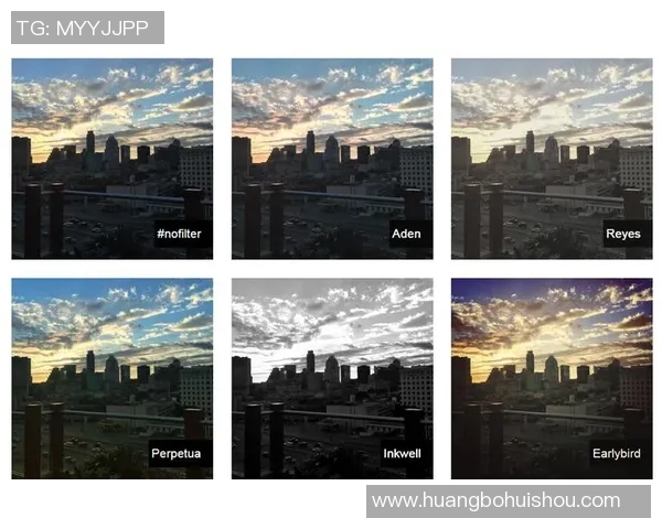 数据分析揭示Instagram平台的技术表现与用户体验提升策略