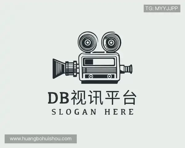 介绍DB视讯平台